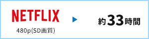 NETFLIX 約33時間